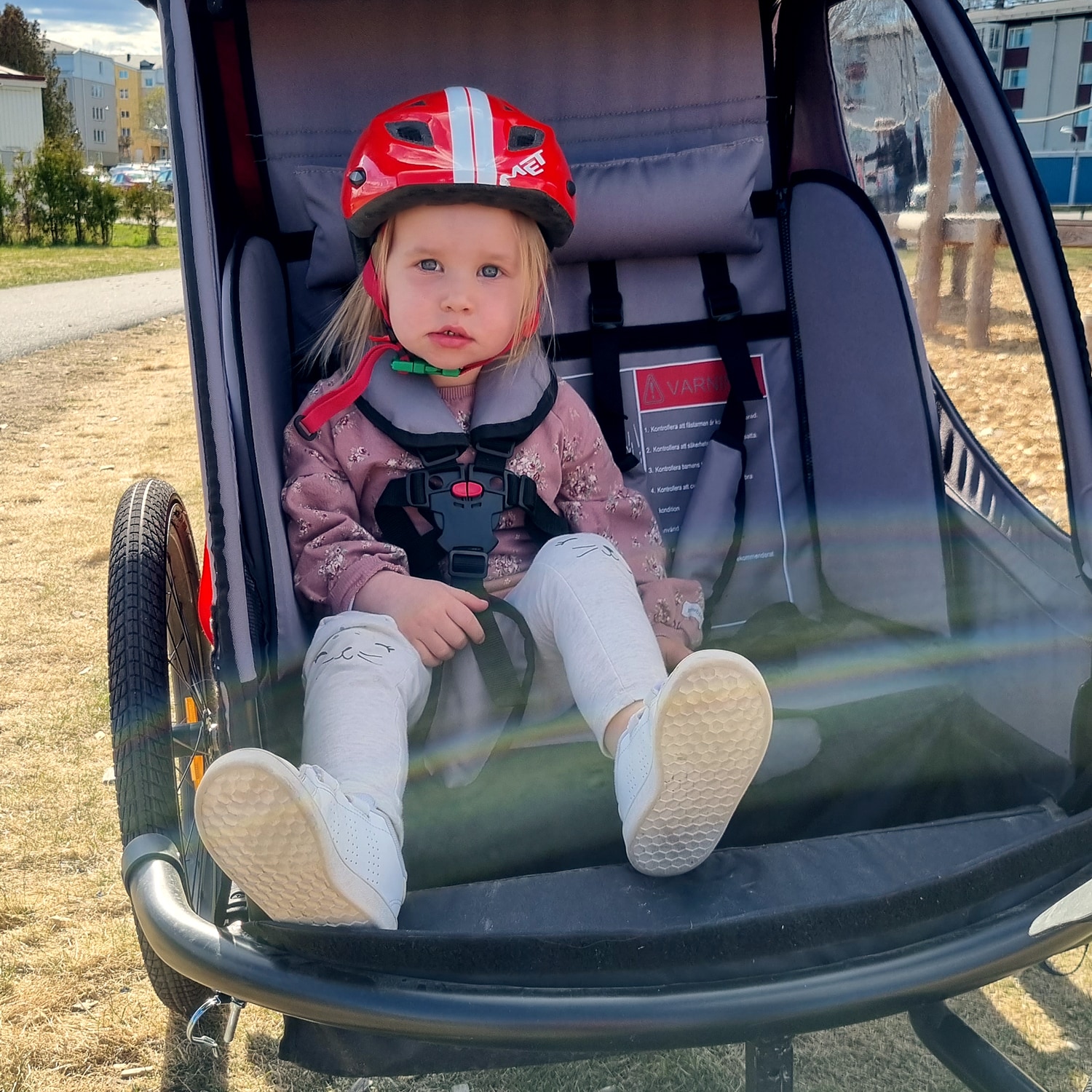 Cykelvagn SunBee Supreme XL, med strollerkit