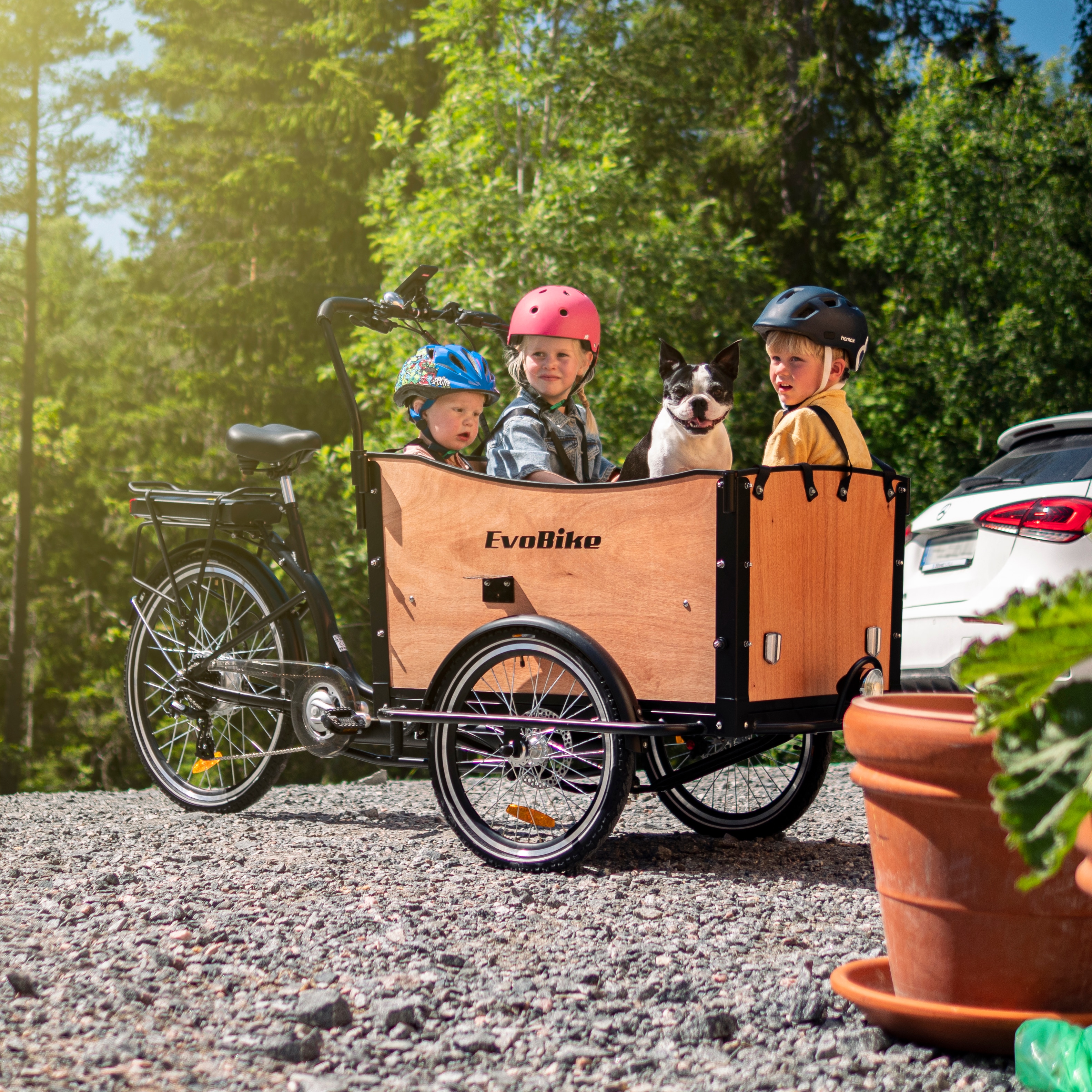 Lådcykel EvoBike Cargo Classic