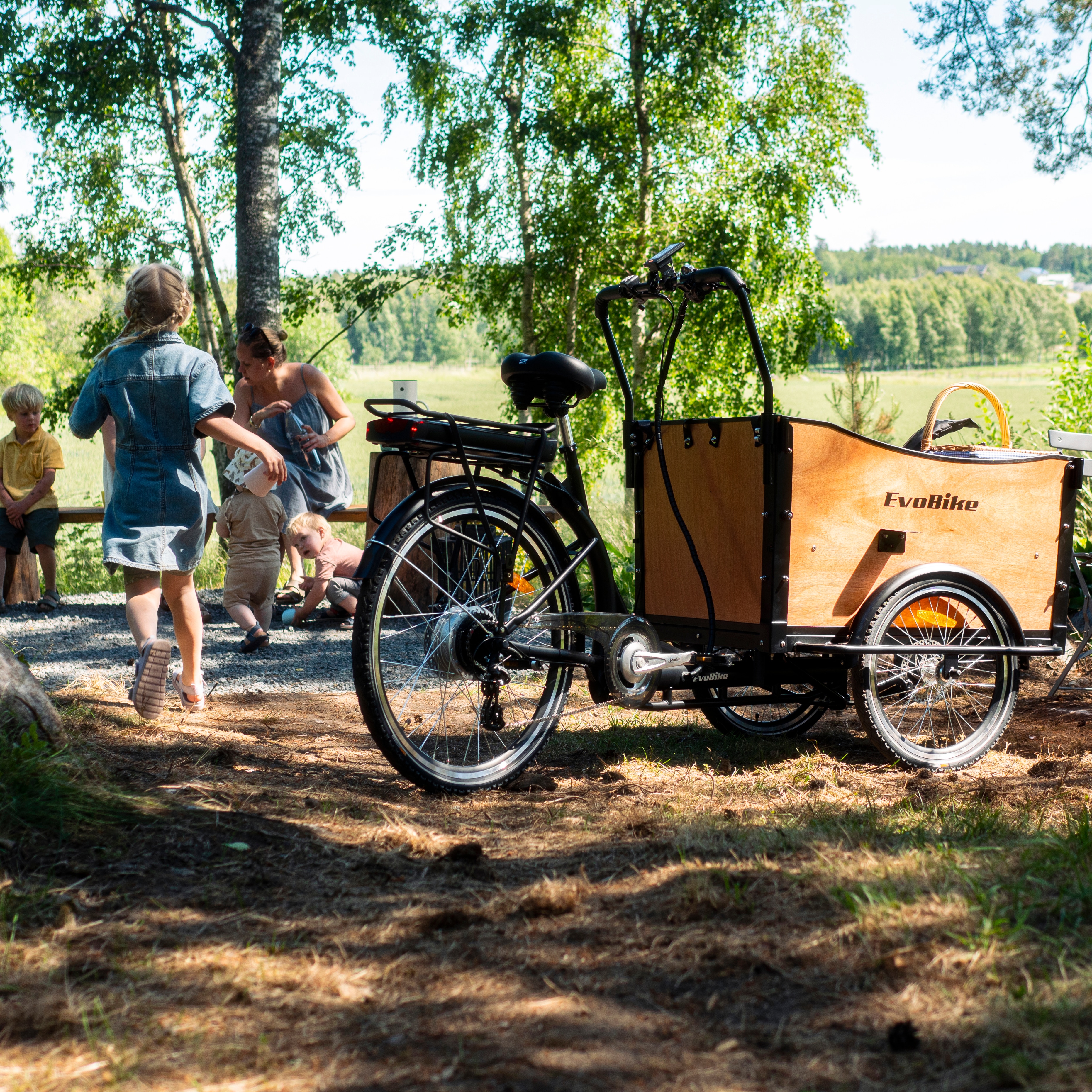 Lådcykel EvoBike Cargo Classic