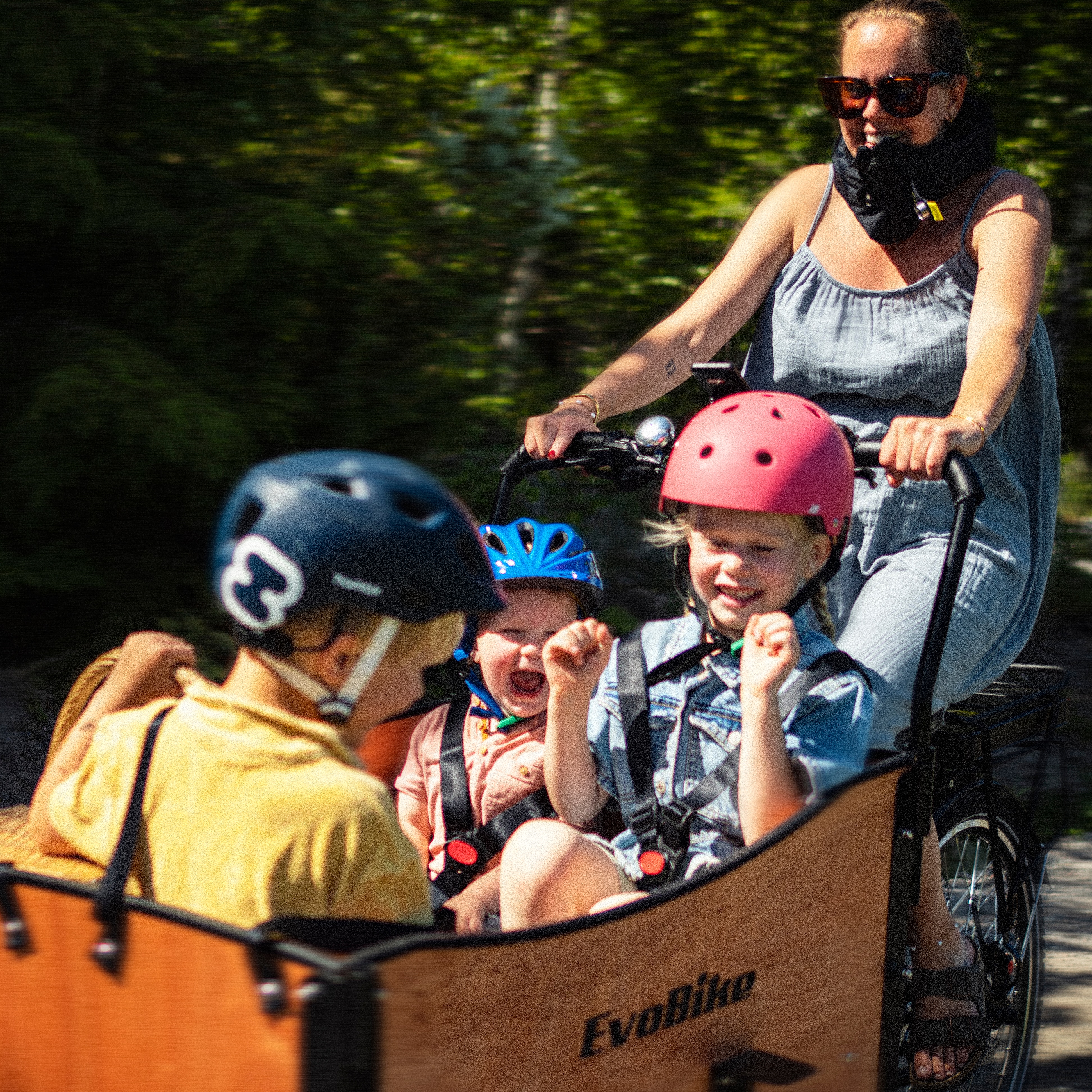 Lådcykel EvoBike Cargo Classic